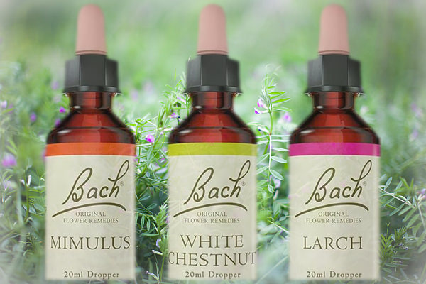 remedii florale Bach, sănătate, sector 3, cabinet medical, cabinet homeopatie, imunitate, vitalitate